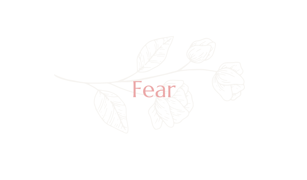 Fear